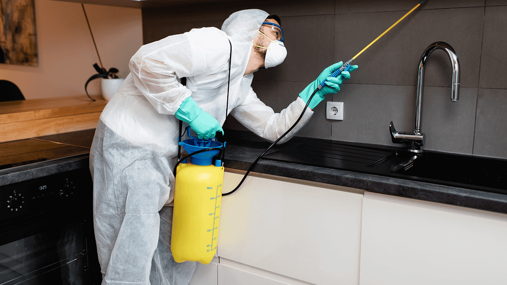 شركة تنظيف وتعقيم بالمدينة المنورة